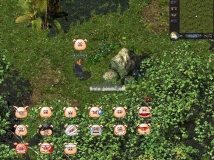 傳奇表情素材豬頭QQ表情腳本+配套補丁下載